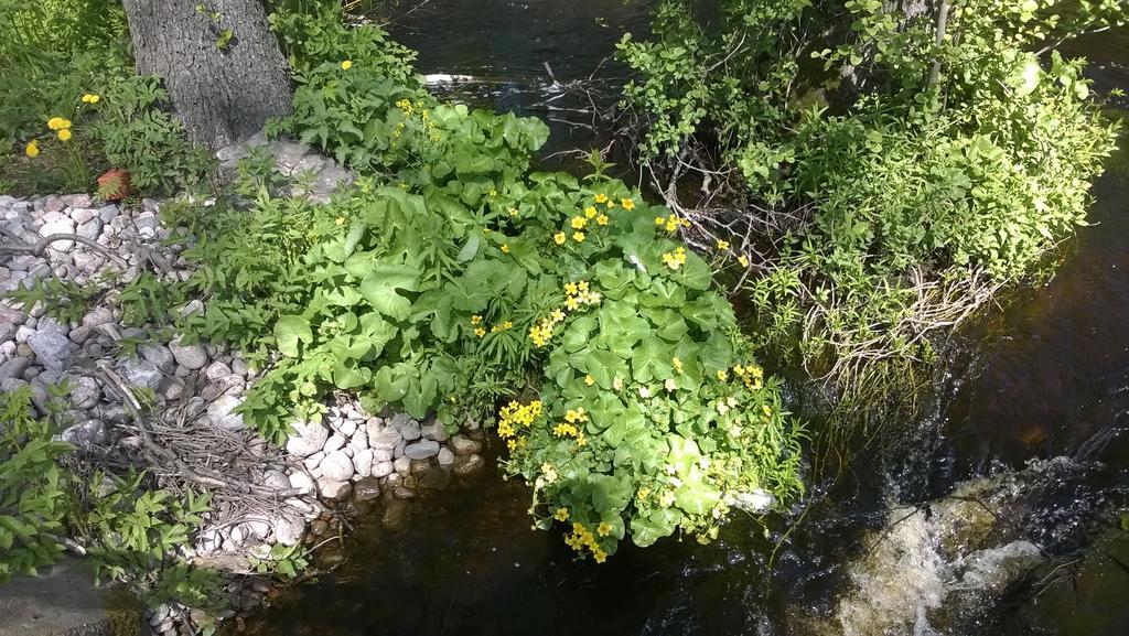 Kirjakkalan Ruukkikylae Teijo Extérieur photo