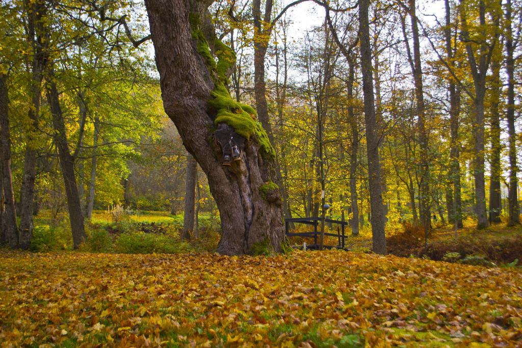 Kirjakkalan Ruukkikylae Teijo Extérieur photo